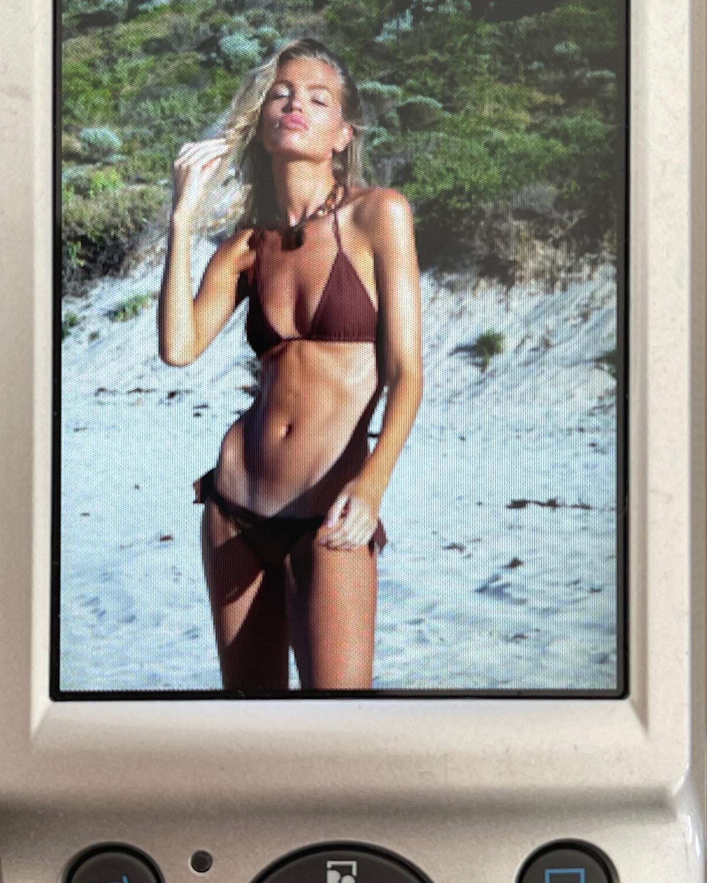 AMORE bottoms - maroon - 6