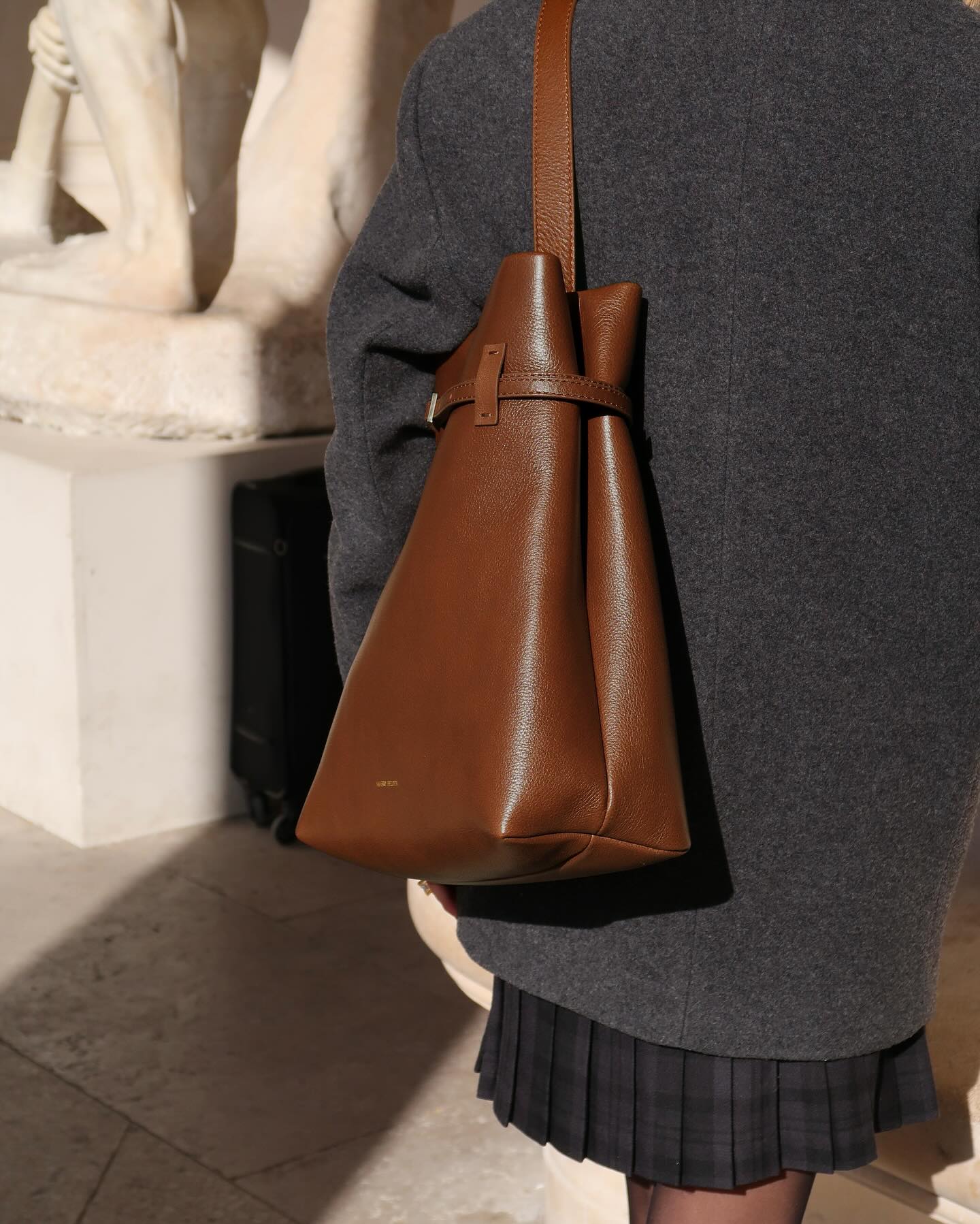 Tote du Jour Camel - 5