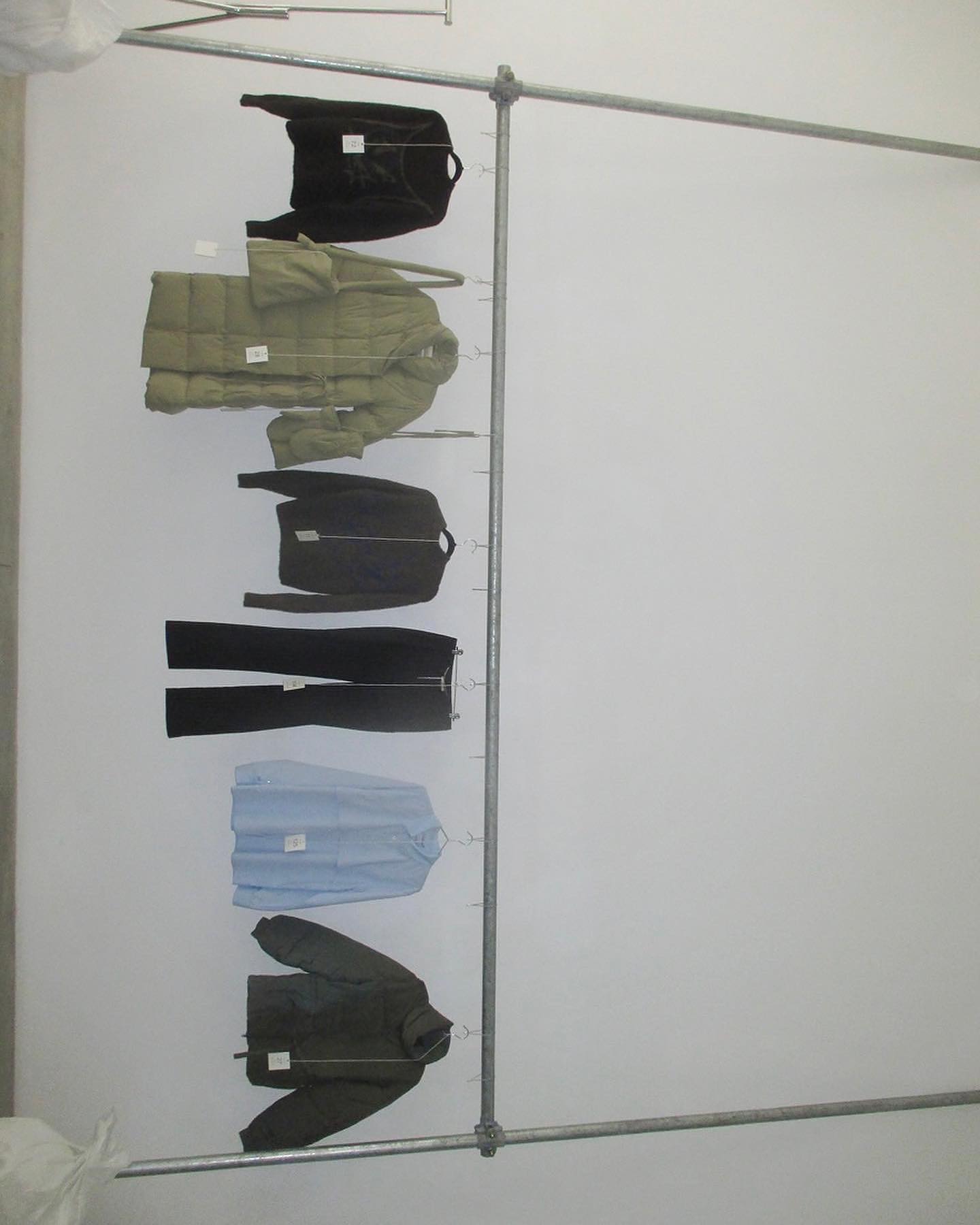 no 2126 / Taro - 11