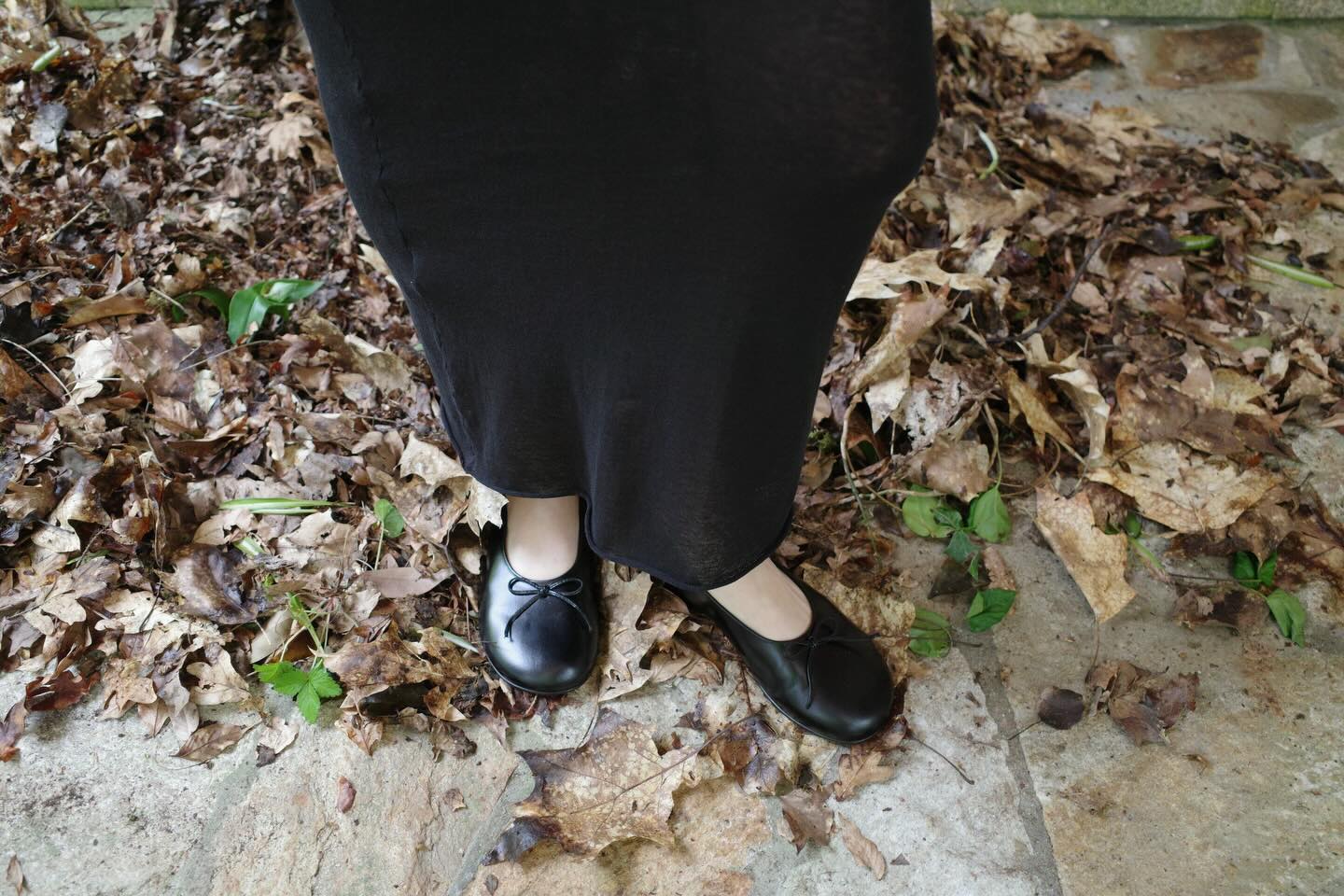 no 2126 / Taro - 7