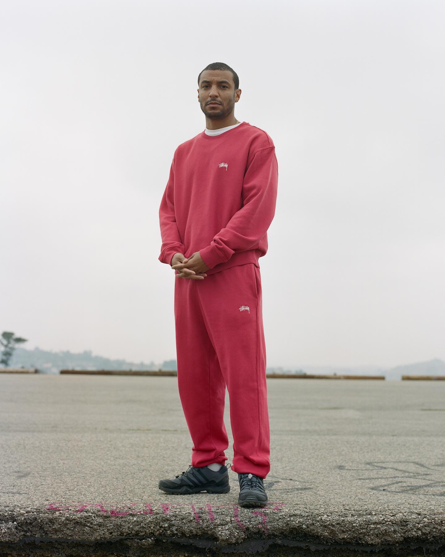 BASIC STÜSSY HOODIE - 5